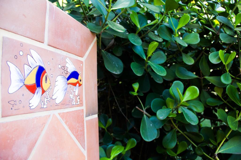 Pousada Da Mata Iriri Exterior foto