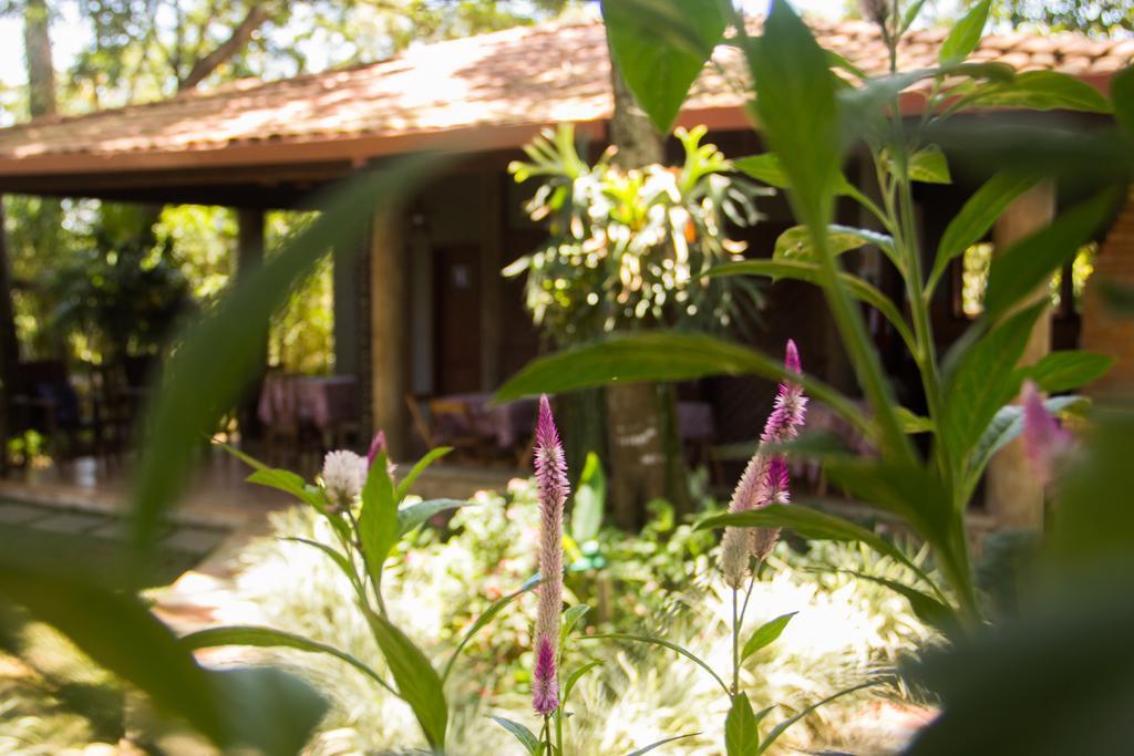 Pousada Da Mata Iriri Exterior foto